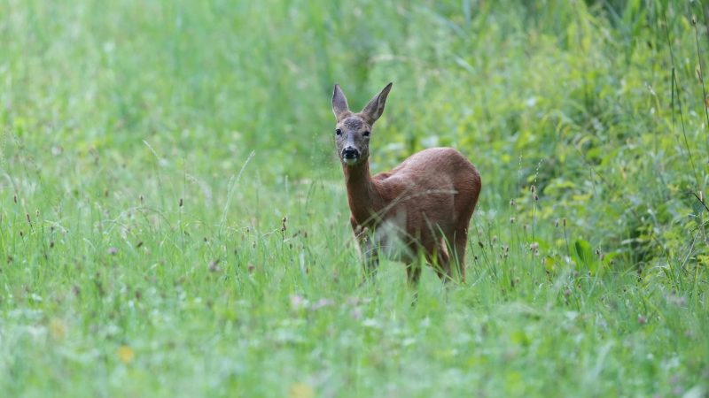 We Owed $34,000 We Didn’t Know About — One Miami Family’s Race to Find Housing Help Before It Was Too Late